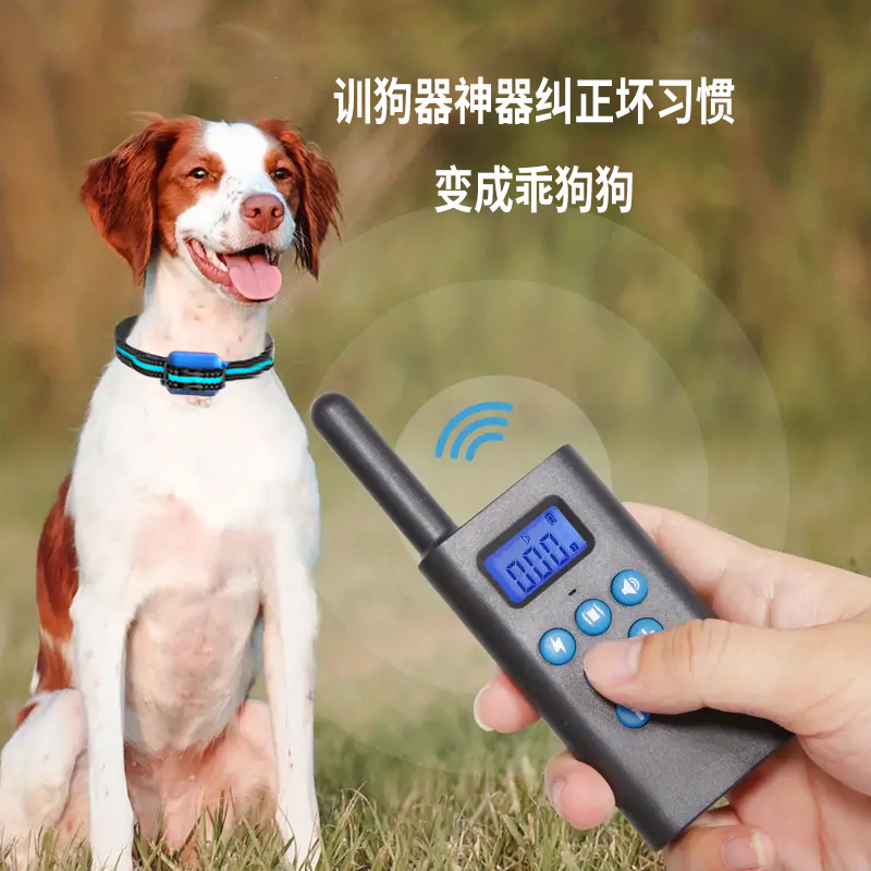 818训狗器